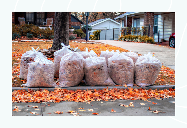 lawn care service new orleans