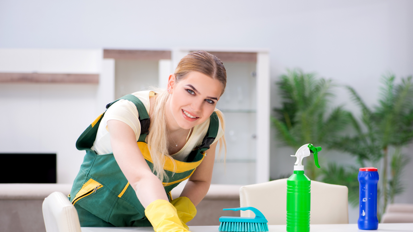 Book a Cleaning Pro on House Fly