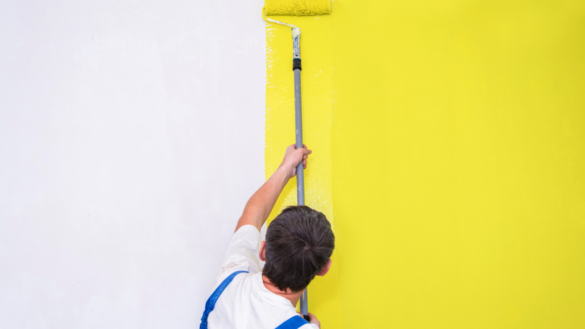 Hiring a Painter Through House Fly