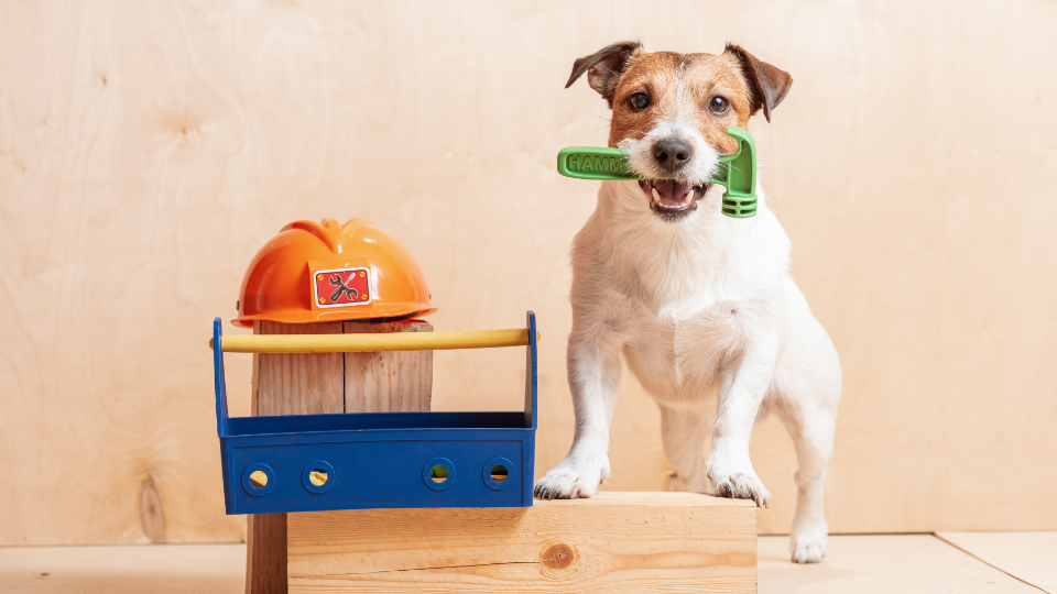 Top Handyman Services in New Orleans