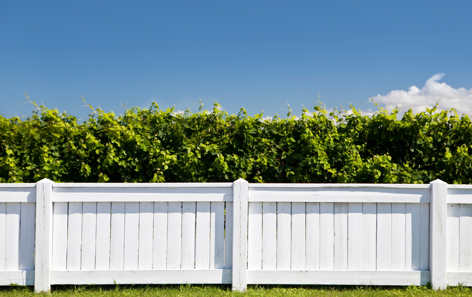 fencing contractor near me with upfront prices