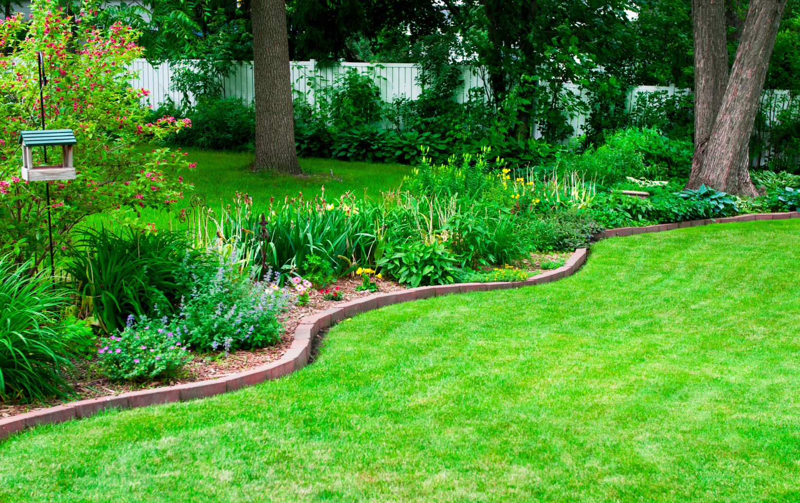 find a grass cutter near me