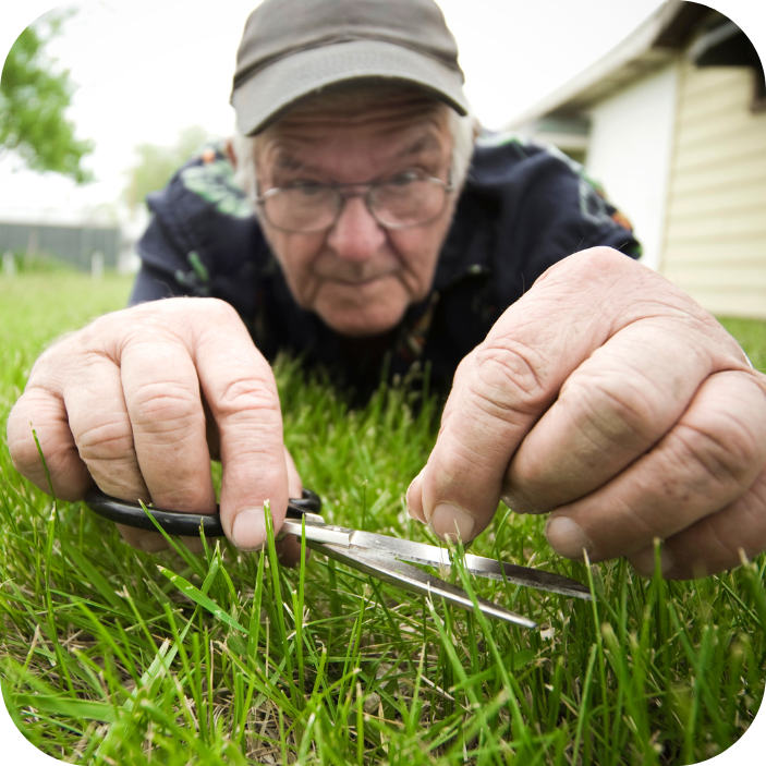 find grass cutting services near me in new orleans