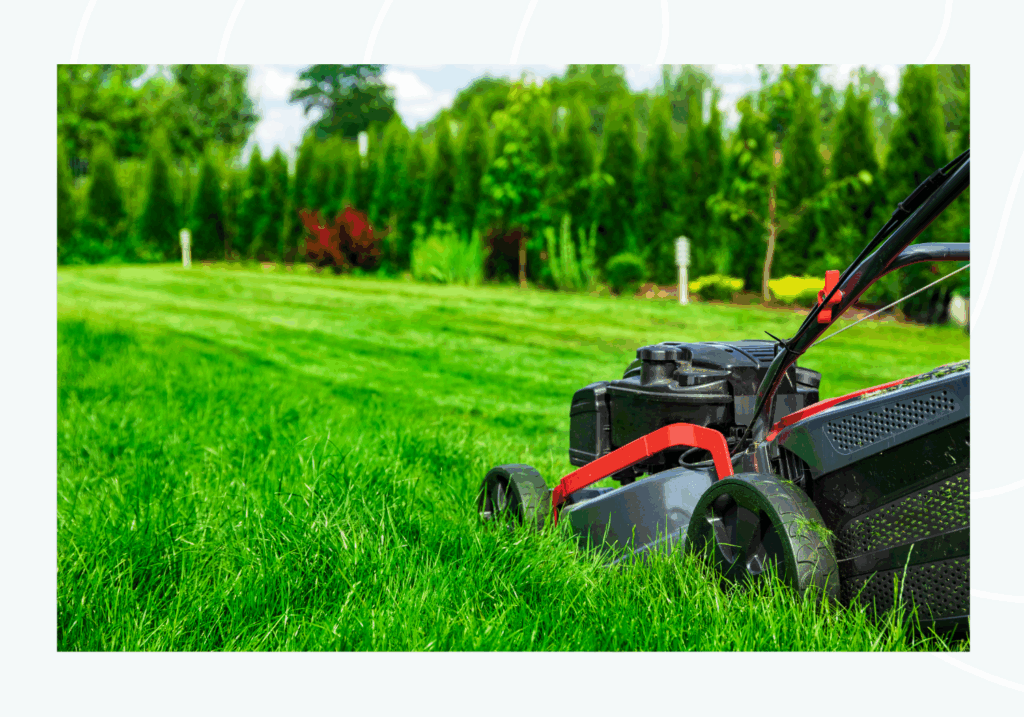 find lawn careservices in new orleans and surrounding areas